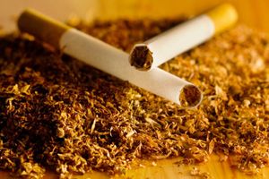 Скільки грамів тютюну в одній сигареті? фото
